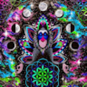 Meet your Posher, Shannan